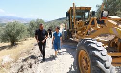 ''Pamucak’a Daha Çok Ağaç, Üreticilere Yol''