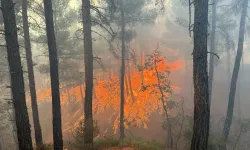 İzmir'deki Orman Yangını 2'nci Gününde: Ekiplerin Müdahalesi Sürüyor