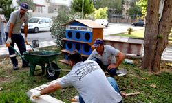 Bayraklı'da pati evlerinin sayısı artıyor