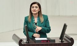 CHP'li Sevda Erdan Kılıç: "Dilruba’yı unuttuk sanmayın"