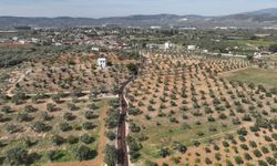 14 ilçede 200 kilometrelik ova yolu düzenlendi