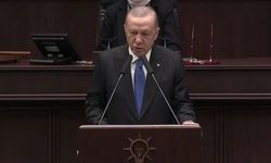 Erdoğan'dan Bahçeli'nin 'Öcalan' çağrısına yanıt, Özgür Özel'e çağrı