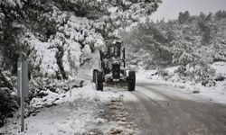 Bornova'da mevsimin ilk karı