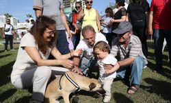 Karşıyaka Belediyesi’nden toplu kısırlaştırma hamlesi