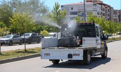 Buca’da Haşere ve Zararlılara Karşı İlaçlama Seferberliği