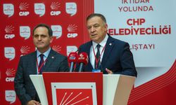 CHP'li Zeybek'ten yerel yönetim açıklamasına yanıt: 'Çözüm TBMM'de'