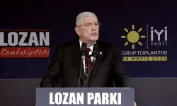 Dervişoğlu: 'Aynı çiçeğin tomurcuğu olarak açan MHP ile DEM...'