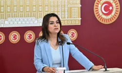 DEM Partili Koçyiğit'den AKP'ye 'torba kanun' tepkisi
