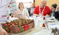 Menemen’de festival coşkusu yaşanacak