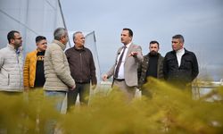 Bornova Belediyesi fidanlığı yeni görünümüyle göz kamaştırıyor