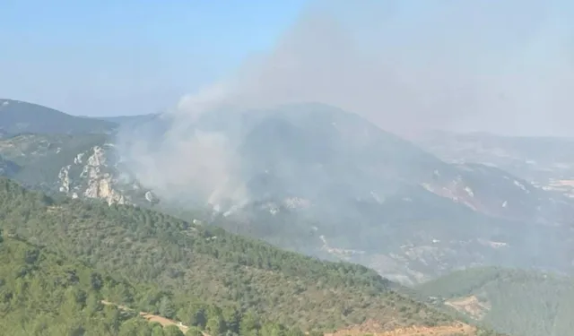 İzmir'deki yangınla ilgili vahim iddia: ‘Helikopterler Yakıt Parası Olmadığı İçin Kalkmadı’
