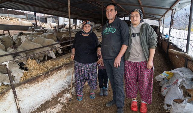 Yangın mağduru çiftçilere 225 ton yem desteği