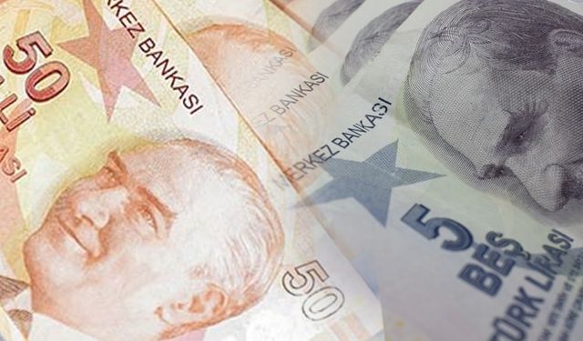 Yeni 5 ve 50 TL'lik banknotlar bugün tedavüle çıkıyor